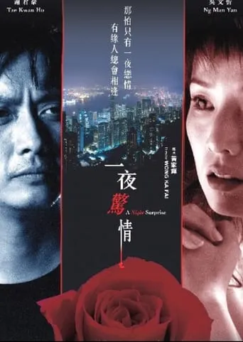 A Night Surprise movie poster - Entertainment content