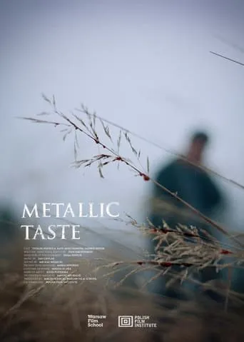 Metallic Taste movie poster - Entertainment content