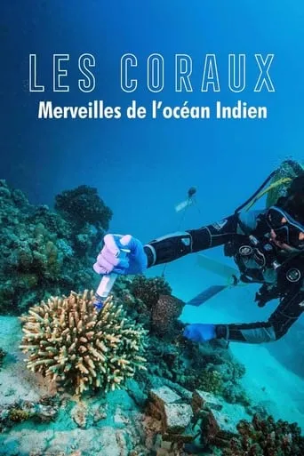 Zauber der Korallenriffe: Der Indische Ozean movie poster - Rated 8/10