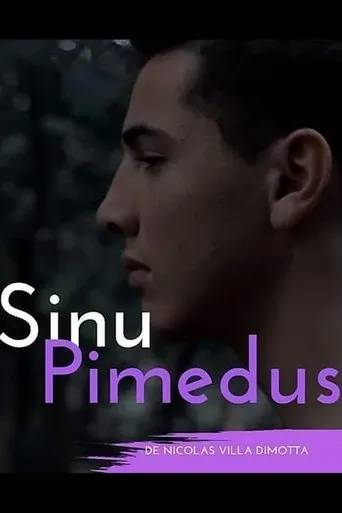 Sinu Pimedus movie poster - Entertainment content
