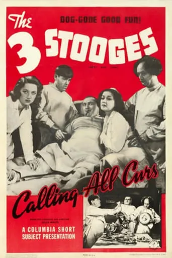 Calling All Curs movie poster - Rated 6.1/10
