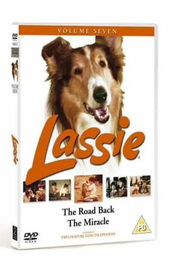 Lassie - The Road Back movie poster - Entertainment content