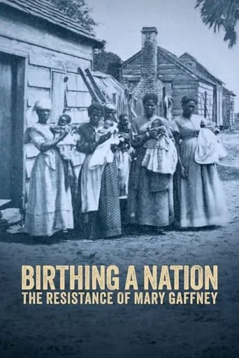 Birthing a Nation: The Resistance of Mary Gaffney movie poster - Rated 6.5/10