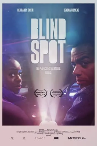 Blind Spot movie poster - Rated 5/10