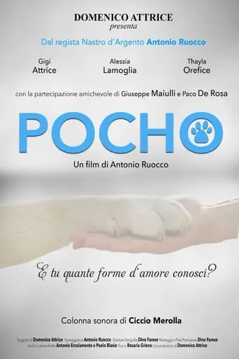 Pocho movie poster - Entertainment content