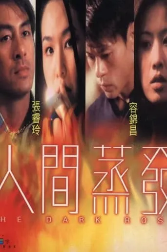 The Dark Rose movie poster - Entertainment content