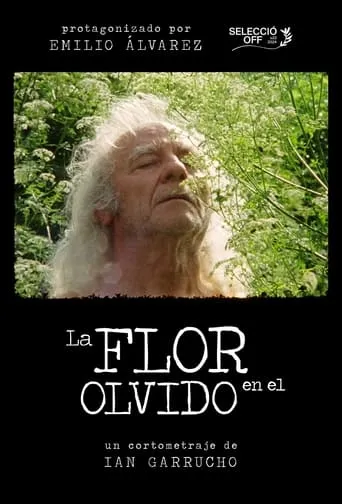 Flower in Oblivion movie poster - Entertainment content