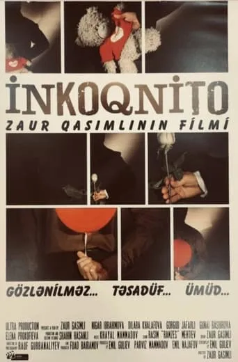 Incognito movie poster - Entertainment content