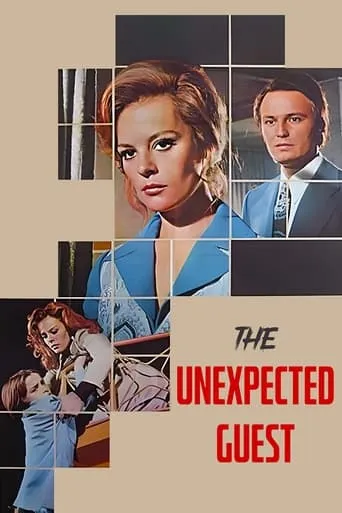 The Unexpected Guest movie poster - Entertainment content