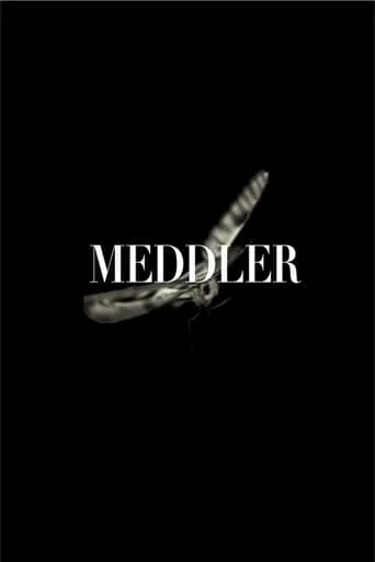 Meddler movie poster - Entertainment content