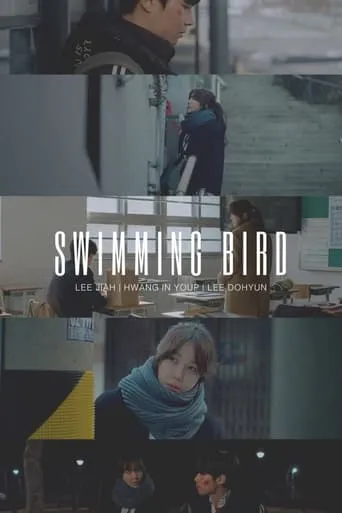 헤엄치는 새 movie poster - Entertainment content