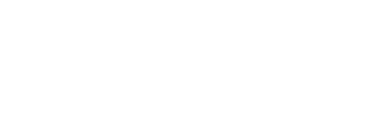 10 Days of a Curious Man