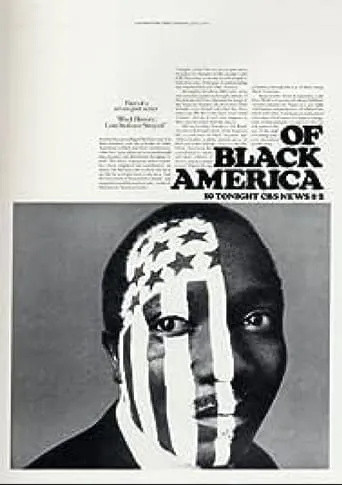 The Heritage of Slavery - Of Black America movie poster - Entertainment content