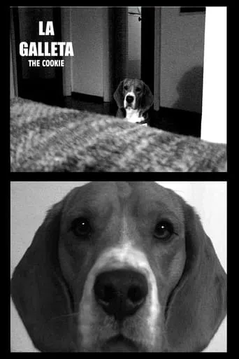 The Cookie movie poster - Rated 6/10