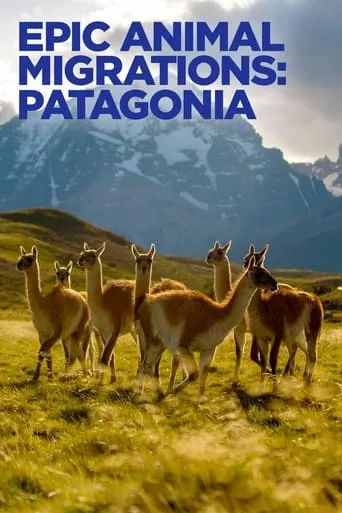 Epic Animal Migrations: Patagonia movie poster - Rated 7/10