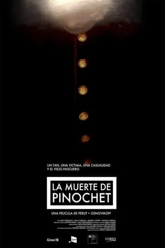 The Death of Pinochet movie poster - Rated 4.8/10