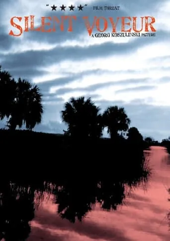 Silent Voyeur movie poster - Rated 5/10