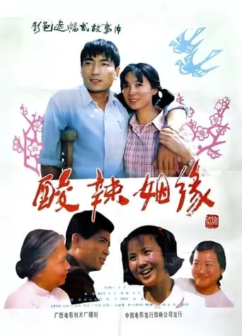 酸辣姻缘 movie poster - Entertainment content
