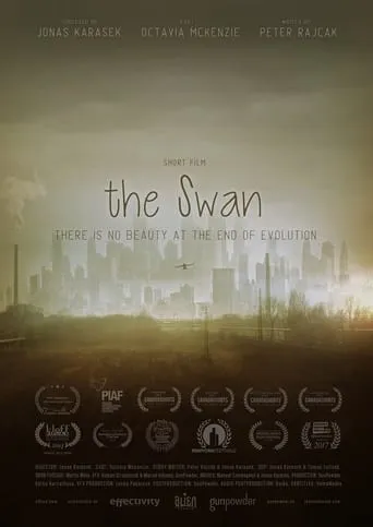 The Swan movie poster - Entertainment content