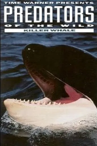 Predators of the Wild: Killer Whale movie poster - Entertainment content