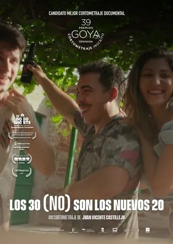 30s Are (NOT) the New 20s movie poster - Rated 10/10