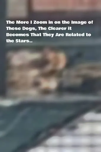The More I Zoom in on the Image of These Dogs, The Clearer it Becomes That They Are Related to the Stars. movie poster - Entertainment content