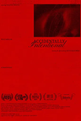 Accidentally Intentional movie poster - Entertainment content