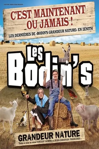 Les Bodin's - Grandeur Nature - La Dernière Des Zénith movie poster - Rated 6/10