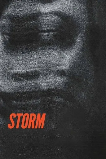 Storm movie poster - Rated 6.9/10