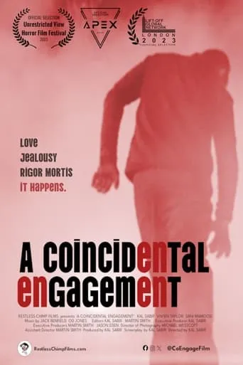 A Coincidental Engagement movie poster - Entertainment content