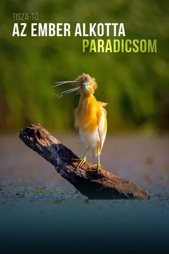A Man-Made Paradise movie poster - Rated 10/10