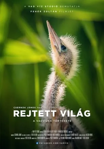 Hidden World: The Story of Hungary's Wild Waters movie poster - Entertainment content