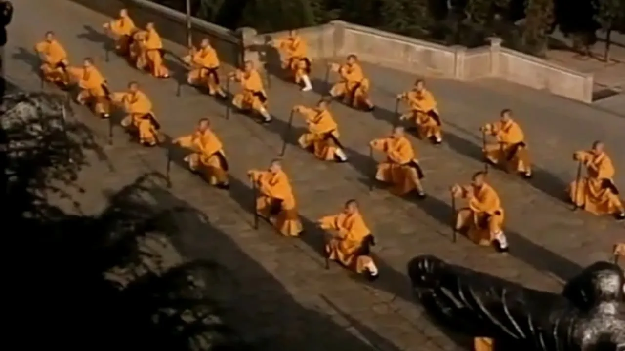 Li Lian Jie's Shaolin Kung Fu
