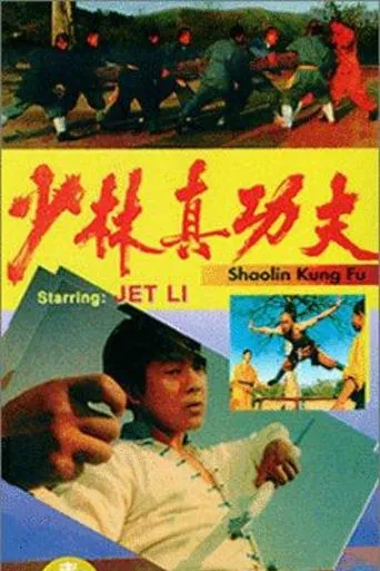 Shaolin Kung Fu movie poster - Rated 8/10