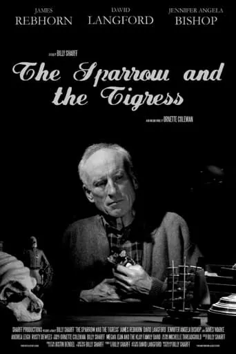 The Sparrow and the Tigress movie poster - Entertainment content