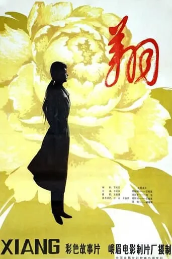 翔 movie poster - Entertainment content