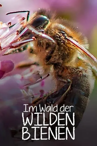 Im Wald der wilden Bienen movie poster - Rated 9/10