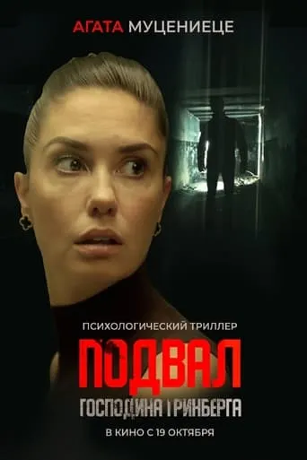 Mr. Greenberg's Basement movie poster - Rated 4.3/10