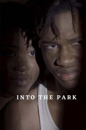 Into the Park movie poster - Rated 5/10