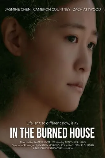In the Burned House movie poster - Entertainment content