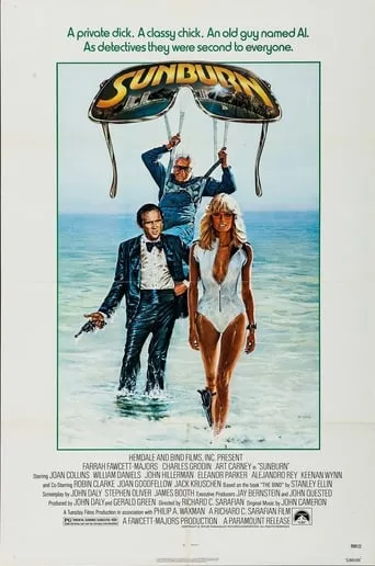 Sunburn movie poster - Rated 5/10