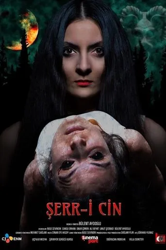 Şerr-i Cin movie poster - Rated 3/10