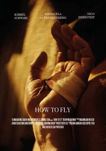 How to Fly movie poster - Entertainment content