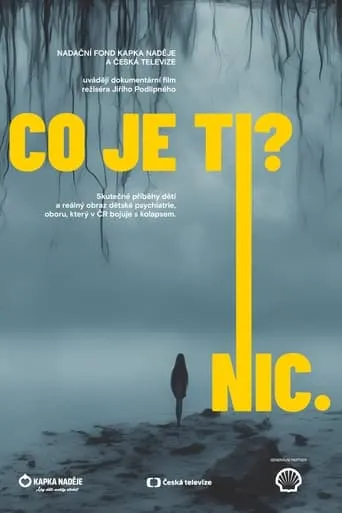 What's wrong with you? Nothing. movie poster - Entertainment content