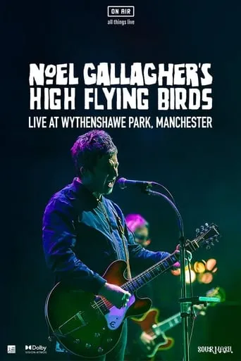 Noel Gallagher's High Flying Birds - Live at Wythenshawe Park, Manchester movie poster - Entertainment content