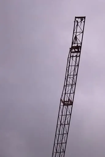 the building being built movie poster - Entertainment content