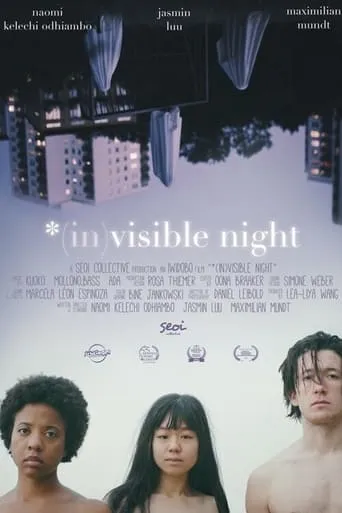 *(In)Visible Night movie poster - Entertainment content