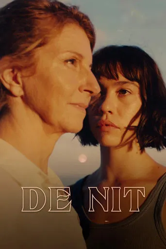 De nit movie poster - Entertainment content