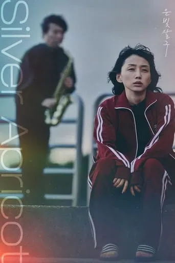 Silver Apricot movie poster - Rated 6.5/10