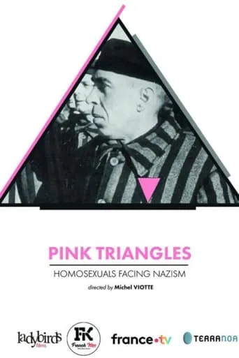 Pink Triangles, Homosexuals Facing Nazism movie poster - Rated 7.2/10